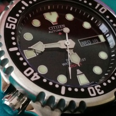 Citizen NY 0040-09EE Promaster Automatic Diver