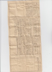 papier Amfibia (rewers)