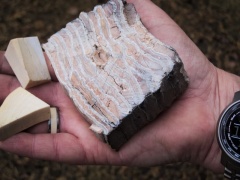 Prehistoryczne materiały ozdobne