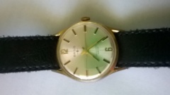 WP 20160507 12 04 39 Pro