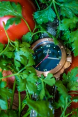 Gruppo Gamma Vanguard N-19A