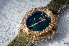 Gruppo Gamma Vanguard N-19A