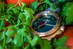 Gruppo Gamma Vanguard N-19A