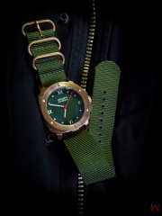 Gruppo Gamma Vanguard N-19A