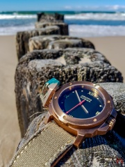 Gruppo Gamma Vanguard N-19A