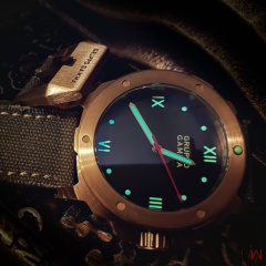 Gruppo Gamma Vanguard N-19A