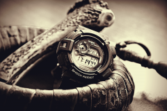 Casio G-9300