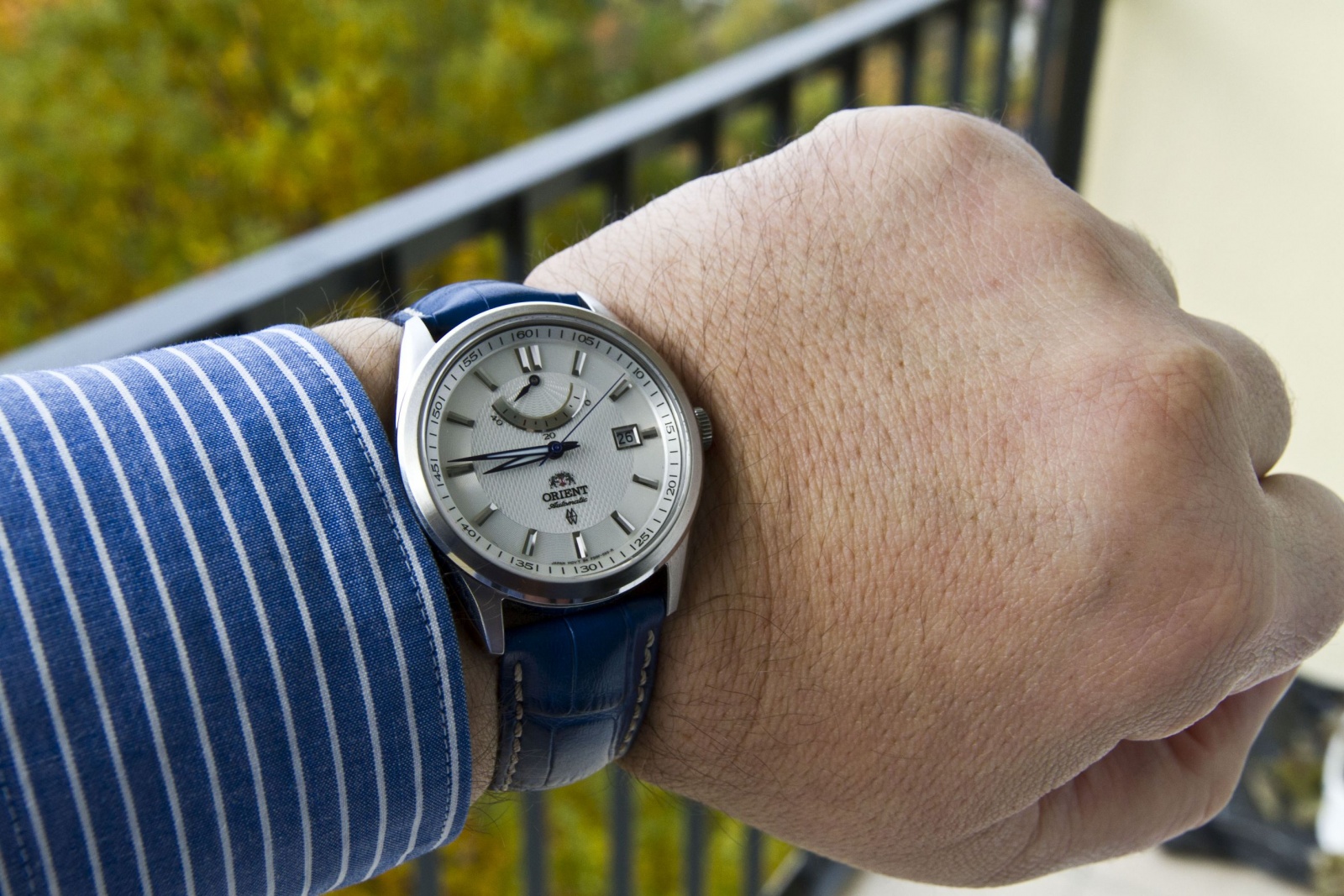 Orient Senator