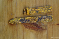 18mm "złoty" pyton