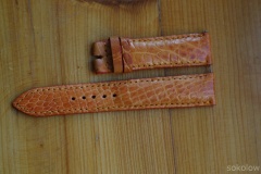 pomarańcz aligator 20mm