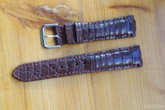 brązowy aligator 20mm