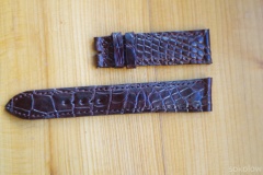 brązowy aligator 20mm