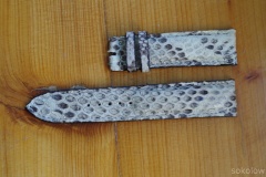 22mm pasek z pytona