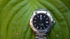 TH Aquaracer