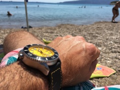 AE010CC4 7F49 4C65 A82F 3620928B07DE zpshnn1douh