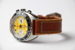 Vratislavia Conceptum Heritage Chrono