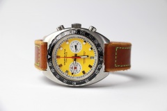 Vratislavia Conceptum Heritage Chrono