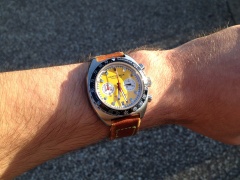 Vratislavia Conceptum Heritage Chrono