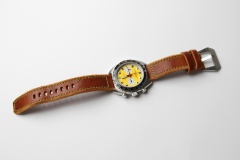 Vratislavia Conceptum Heritage Chrono