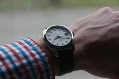 SARB035 K.Reda Brązowy krokodyl