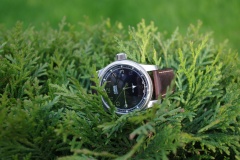 oris2