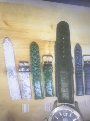 Pasek jaszczur zielo