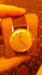 49535952 1984535878269078 6598123622781419520 N