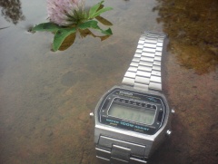 stary marlin i kaczeniec