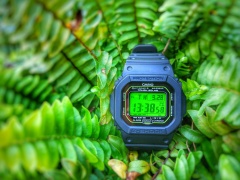 IMG 20170928 133858 01