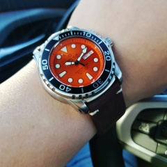DB Sea Diver