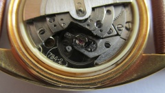 IMG 4759