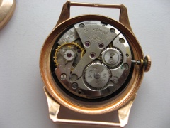 IMG 0651