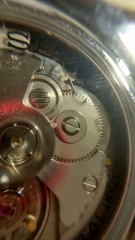 24252341 2656044584534430 1513946851 N