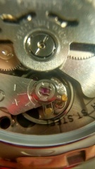 24282151 2656044597867762 540557652 N