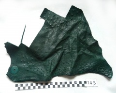 132886554df3a0edbf64fa197053