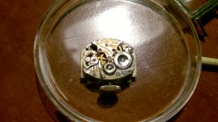 WP 20170815 21 49 46 Pro