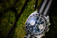 Vratislavia Conceptum s.12