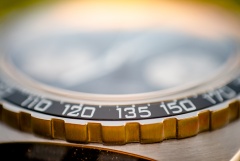 Vratislavia Conceptum s.12