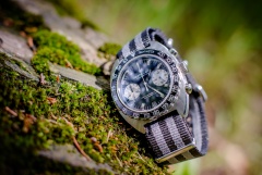 Vratislavia Conceptum  Chrono Rapide s.12