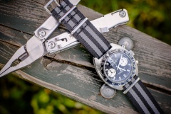 Vratislavia Conceptum s.12