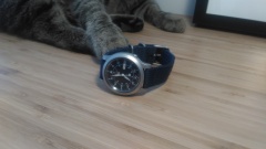 P 20180605 185705(1)