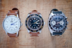 Trzy sikory, trzy paski