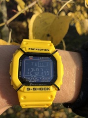 Gw5000HR YellowBahama