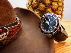 Sinn 104