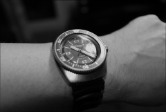 Krajobraz z Amfibią