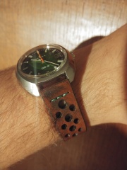 Moja DS-2 żółw