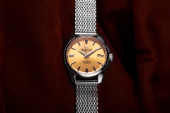 48893745352 c8411727e8 K