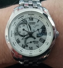 Citizen Eco-Drive Perpetual Calendar BL8007-54A