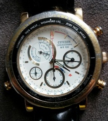 Citizen Intellectus et Fortitudo cal 6750