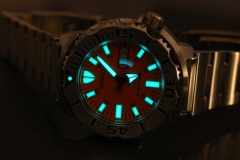 Seiko Orange Monster